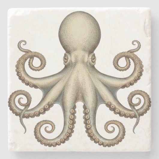Octopus scientific diagram unique artwork retro steinuntersetzer (Vorderseite)