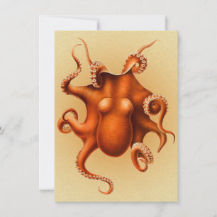 Octopus Sea Monster Kreatur Cephalapod Vintag Einladung