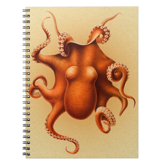 Octopus Sea Monster Kreatur Cephalapod Vintag Notizblock (Vorderseite)