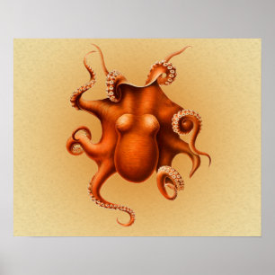 Octopus Sea Monster Kreatur Cephalapod Vintag Poster