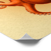Octopus Sea Monster Kreatur Cephalapod Vintag Poster (Ecke)