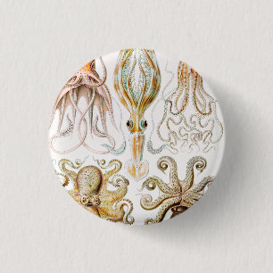 Octopus Squid, Gamochonia by Ernst Haeckel Button