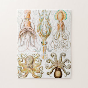 Octopus Squid, Gamochonia by Ernst Haeckel Puzzle
