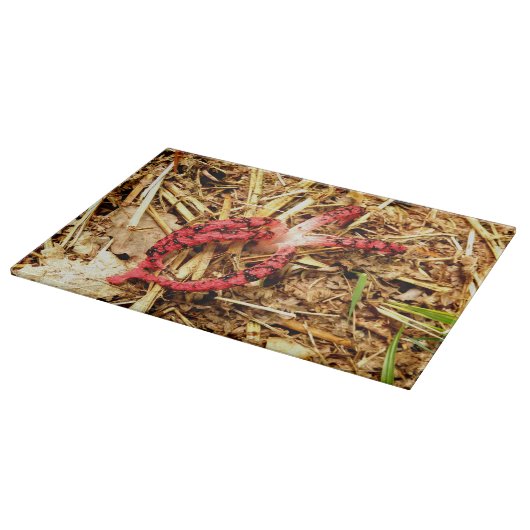 Octopus Stinkhorn Glass Chopping Board Schneidebrett (Ecke)