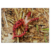 Octopus Stinkhorn Glass Chopping Board Schneidebrett (Vorderseite)