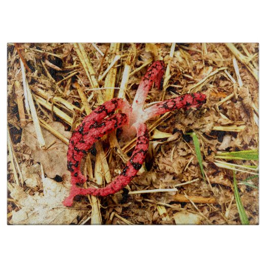 Octopus Stinkhorn Glass Chopping Board Schneidebrett (Vorderseite)