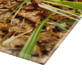 Octopus Stinkhorn Glass Chopping Board Schneidebrett (Ecke)