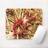 Octopus Stinkhorn Mouse Mat Mousepad (Mit Mouse)