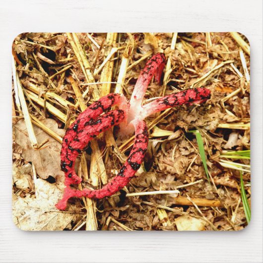 Octopus Stinkhorn Mouse Mat Mousepad (Vorne)