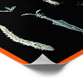 Octopus-Studie Poster (Ecke)