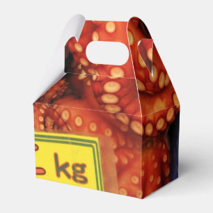 Octopus Tako た こ Tsukiji Fish Market, Tokio, Japan Geschenkschachtel