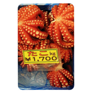 Octopus Tako た こ Tsukiji Fish Market, Tokio, Japan Magnet
