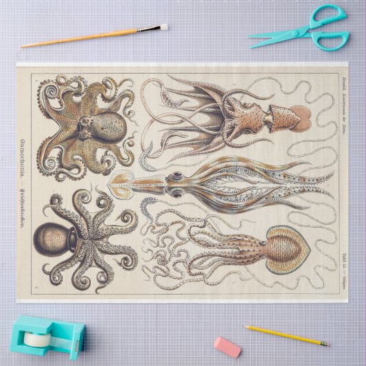 Octopus Tintenfisch Gamochonia Decoupage Tissue Pa Seidenpapier (Basteln)