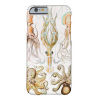 Octopus-Tintenfisch, Gamochonia, von Ernst Haeckel