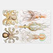 Octopus-Tintenfisch, Gamochonia, von Ernst Haeckel Geschenkpapier Set (Vorderseite 2)