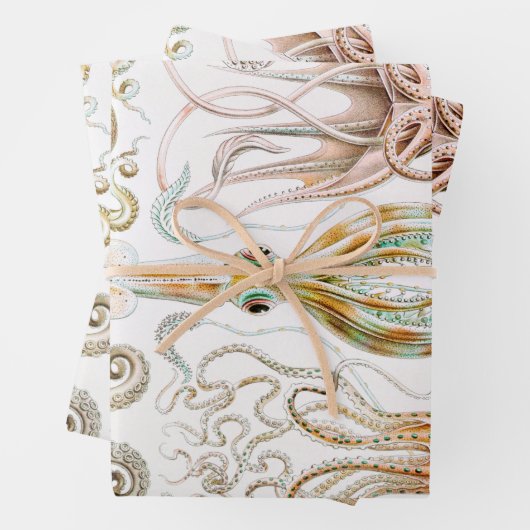 Octopus-Tintenfisch, Gamochonia, von Ernst Haeckel Geschenkpapier Set (Beispiel)