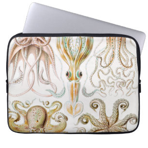 Octopus-Tintenfisch, Gamochonia von Ernst Haeckel Laptopschutzhülle