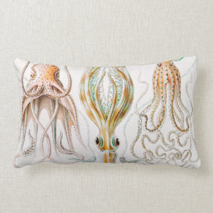 Octopus-Tintenfisch, Gamochonia, von Ernst Haeckel Lendenkissen