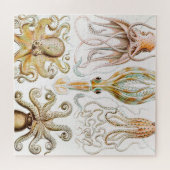 Octopus-Tintenfisch, Gamochonia von Ernst Haeckel Puzzle (Horizontal)