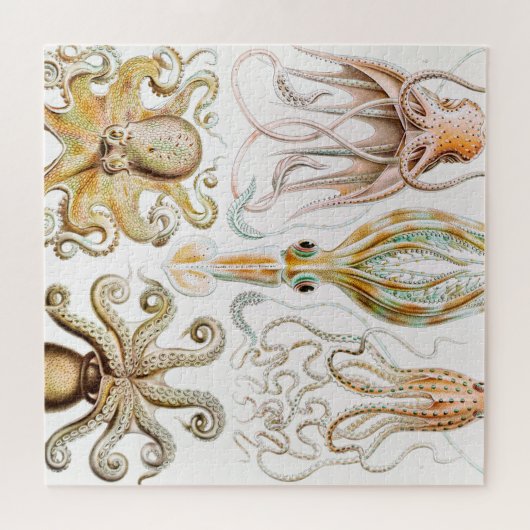 Octopus-Tintenfisch, Gamochonia von Ernst Haeckel Puzzle (Horizontal)
