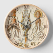Octopus-Tintenfisch Gamochonia von Ernst Haeckel Uhr (Vorderseite)