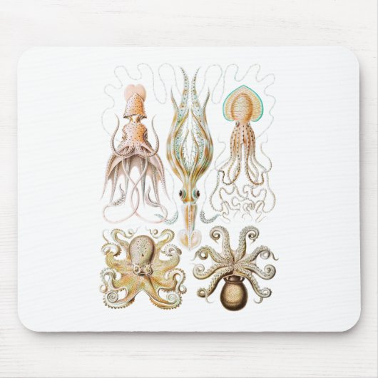OCTOPUS-TINTENFISCH MOUSEPAD (Vorne)