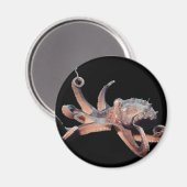 Octopus-Wild Thang Magnet (Vorderseite/Rückseite)