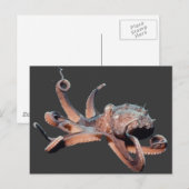 Octopus-Wild Thang Postkarte (Vorne/Hinten)
