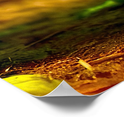 Odd Friends - Gooey Green Monster Poster (Ecke)