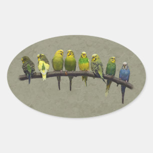 Odd One Out Aufkleber