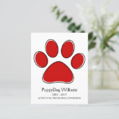 oddRex-Pfow-Speicherkarte zum Verlust eines Beglei (Stehend Vorderseite)