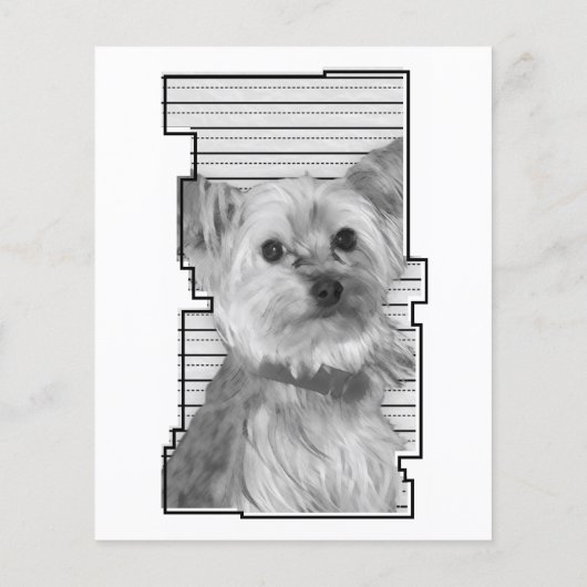 oddRex-Pfow-Speicherkarte zum Verlust eines Beglei (Rückseite)