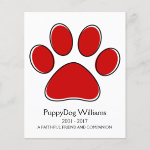 oddRex-Pfow-Speicherkarte zum Verlust eines Beglei