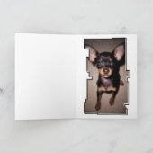 oddRex-Pfow-Speicherkarte zum Verlust eines Beglei Karte (Innenseite)