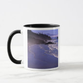 ODER, Oregon-Küste, Ecola SP, Indian Beach mit Tasse (Links)