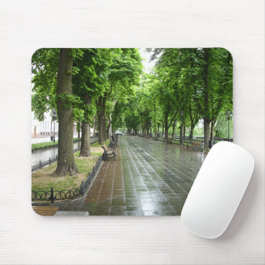 Odessa-Park (3) Mousepad (Mit Mouse)