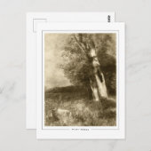 Odilon Redon #565 - Fine Art Postcard Postkarte (Vorne/Hinten)