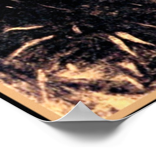 Odilon Redon - Eye Balloon Poster (Ecke)