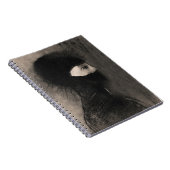 Odilon Redon. Rüstung. Dunkle Frau Gesicht. Symbol Notizblock (Rechte Seite)