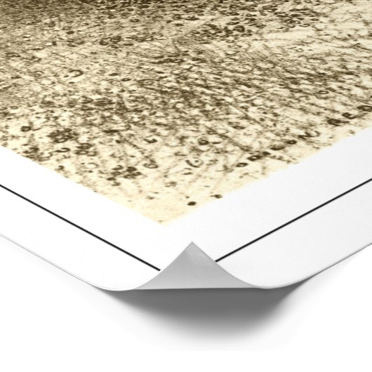 Odilon Redon Zedign Art Poster #675 (Ecke)