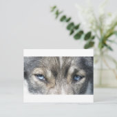 Odins Augen Postkarte (Stehend Vorderseite)