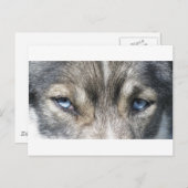 Odins Augen Postkarte (Vorne/Hinten)