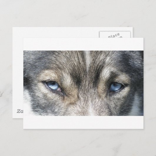 Odins Augen Postkarte (Vorne/Hinten)