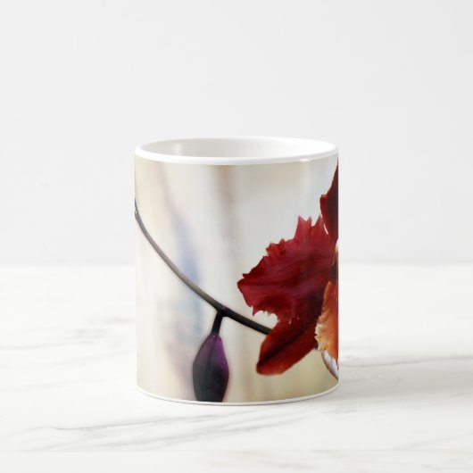 Odontoglossum Orchidee Kaffeetasse (Mittel)