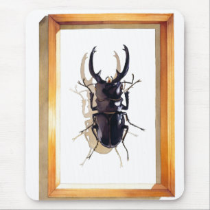"Odontolabis D. subita" Hirsch-Käfer-Aquarell Mousepad