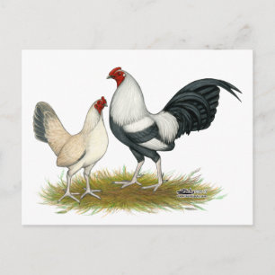 OE Game Blue Silver Wheaten Postkarte