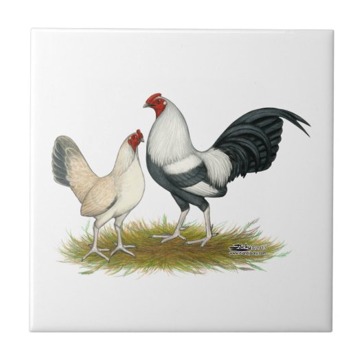 OE Spiel blaues silbernes Wheaten Fliese (Vorderseite)