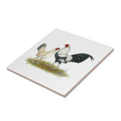 OE Spiel blaues silbernes Wheaten Fliese (Seite)