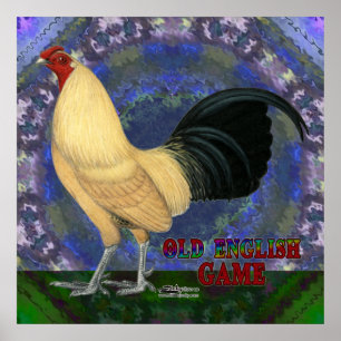 OEG Bantam Cream Buttercup Poster