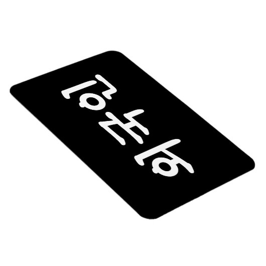 Oegugin 외 국 인 | Koreanische Sprache Hangul Magnet (Rechte Seite)